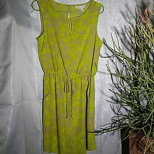 Charming Charlie dress